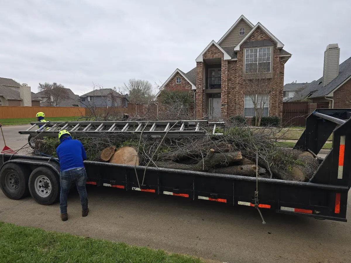 Expert Lot Clearing with proper safety equipment in Millbrook